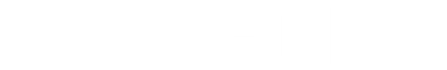 Salsedine